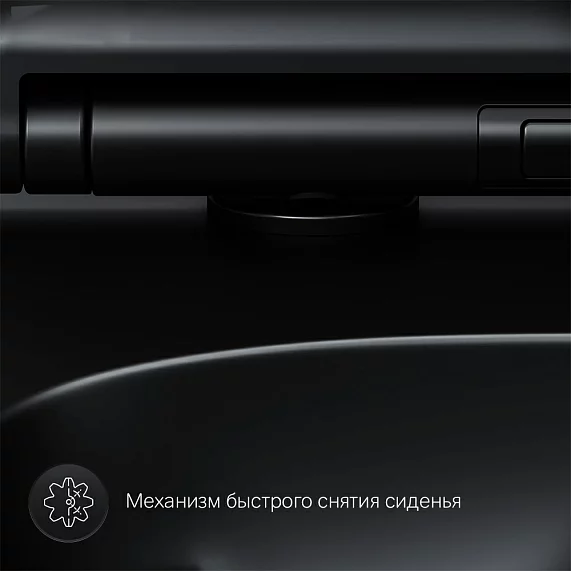 Унитаз подвесной AM.PM X-Joy S C85A1700MBSC безободковый с сиденьем черный